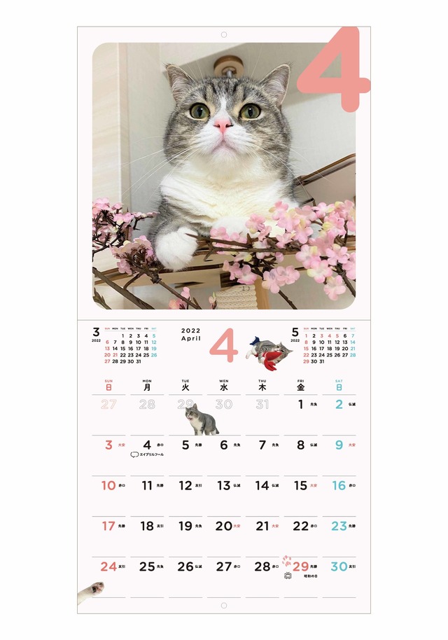 世界一の猫になった人気YouTubeチャンネル「もちまる日記」新作カレンダー発売決定