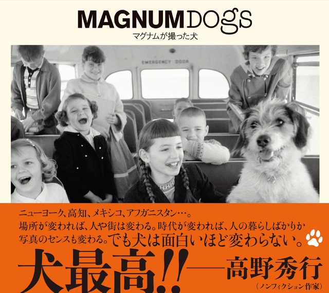 『MAGNUMDOGSマグナムが撮った犬』マグナム・フォト著／藤井留美 訳／2021年10月25日発行