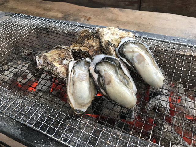 こぼれいくら丼、うに貝焼き、漁師飯…が激旨!“日本最大級の魚食フェス”参加レポ!