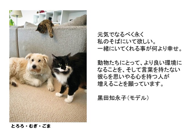 パナソニック、「保護犬猫譲渡会」開催！来場時にステッカーがもらえるSNSキャンペーンも