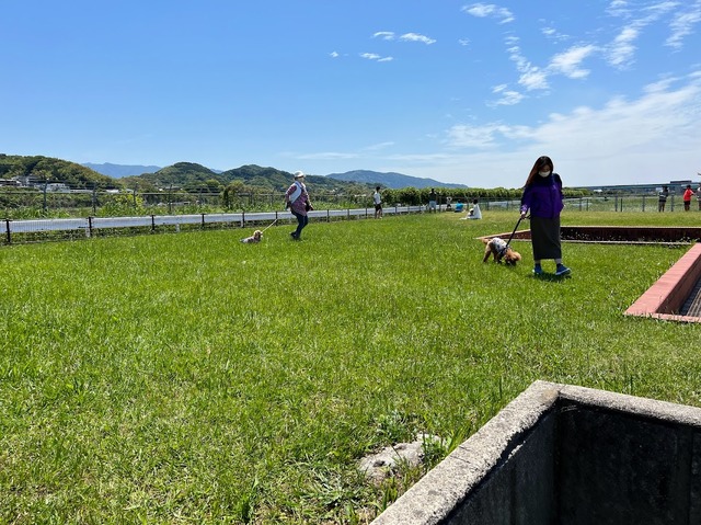 【GO WITH わんこツアー】わんこと一緒に機内に初搭乗！長崎のリゾート地へ～1日目