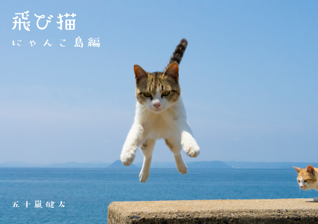 飛び猫　にゃんこ島編（1,400円＋税）