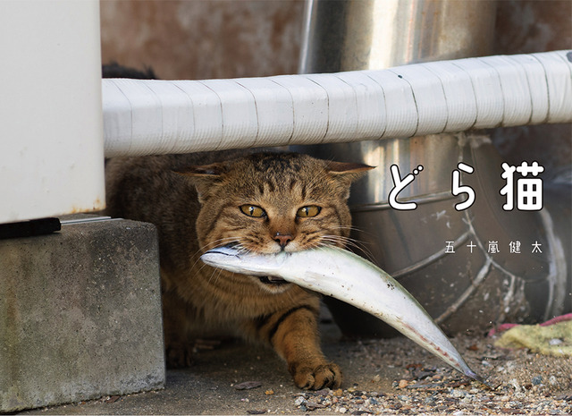 「どら猫」著者：五十嵐 健太定価：1,400円＋税発行：飛び猫合同会社