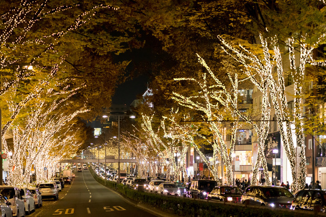 日本初、アフタヌーンティーバスツアーが運行！クリスマス感たっぷりの特別仕様