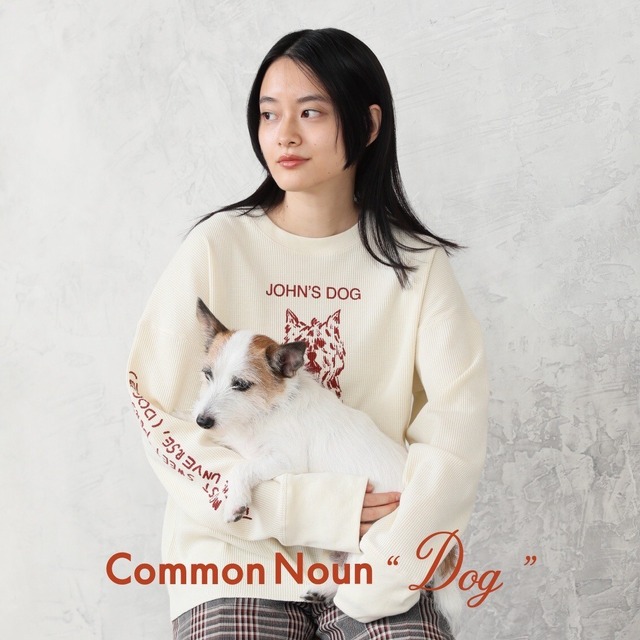 「Common Noun」。大好評の“DOG”シリーズをお得に購入できる。
