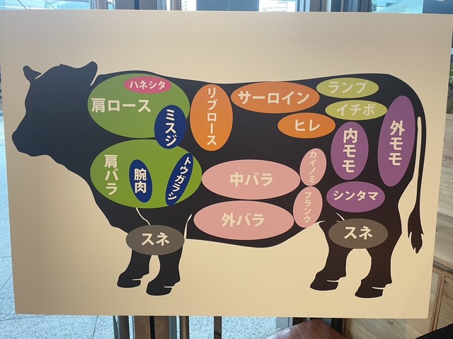 肉の部位を紹介する図：撮影　渡邉
