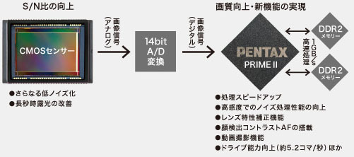 進化信号処理技術