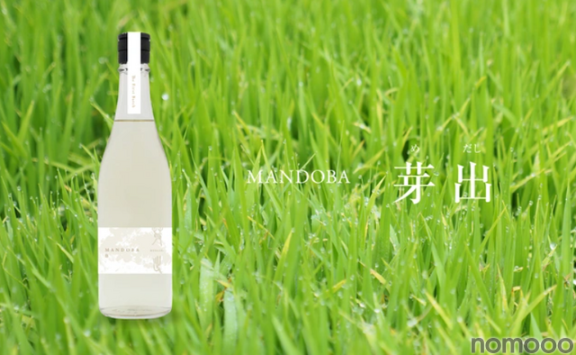 新潟のデザイン会社らが造る農薬・化学肥料不使用日本酒「MANDOBA」がMakuakeにて販売中！