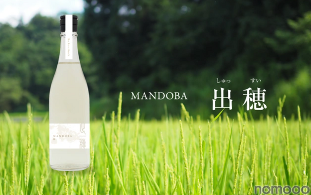 新潟のデザイン会社らが造る農薬・化学肥料不使用日本酒「MANDOBA」がMakuakeにて販売中！