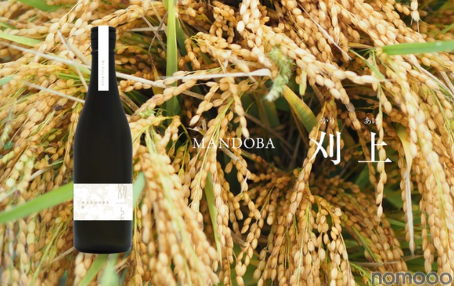 新潟のデザイン会社らが造る農薬・化学肥料不使用日本酒「MANDOBA」がMakuakeにて販売中！