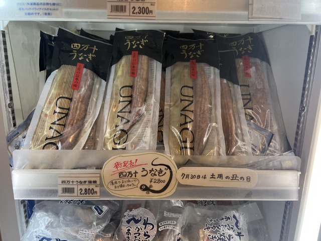 四万十うなぎ