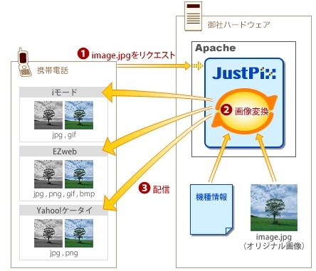 「JustPix for Apache」の概要