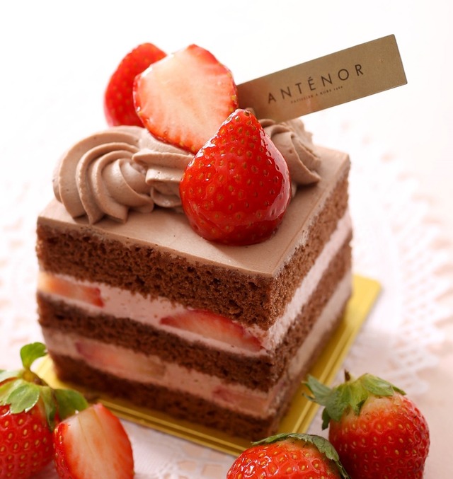 あまおう（紅ほっぺ）苺のショコラショートケーキ