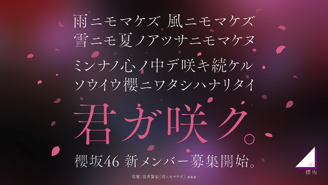 櫻坂46の新メンバーオーディション開催決定！