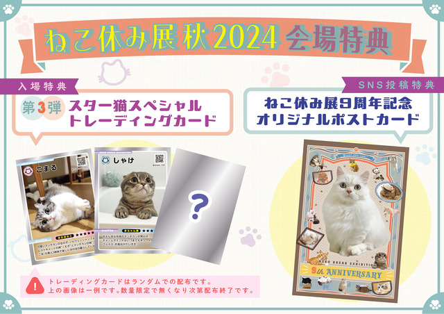 ねこ休み展 秋 2024