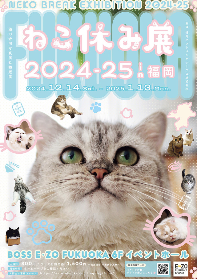 ねこ休み展 2024-25 in 福岡