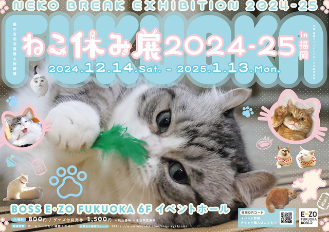 ねこ休み展 2024-25 in 福岡