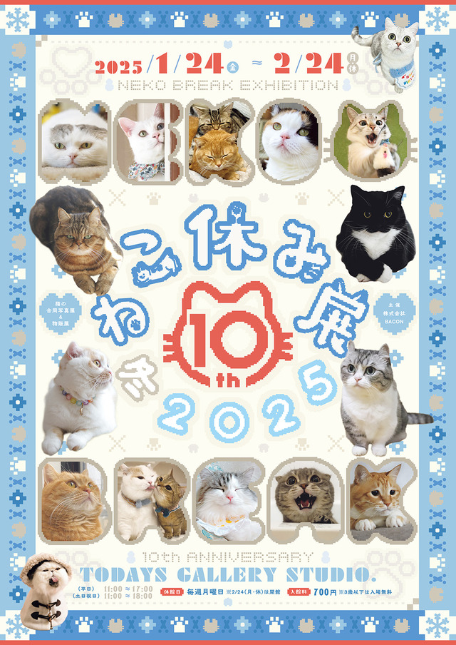 ねこ休み展 冬 2025