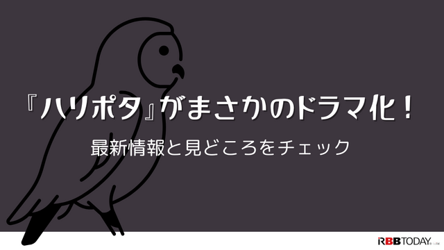 ハリー・ポッターのドラマが始まる前に！映画で世界観を予習しておこう