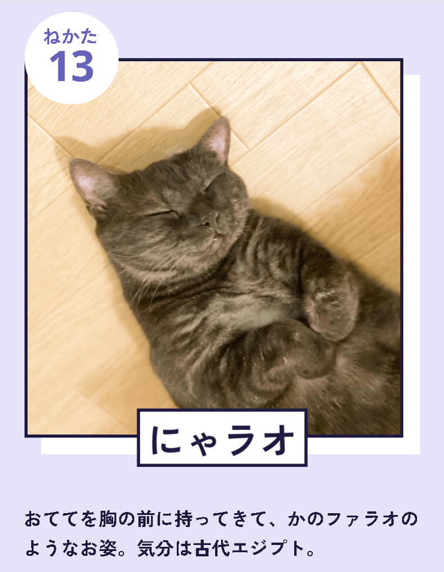 「『ねこのねかた』22選」