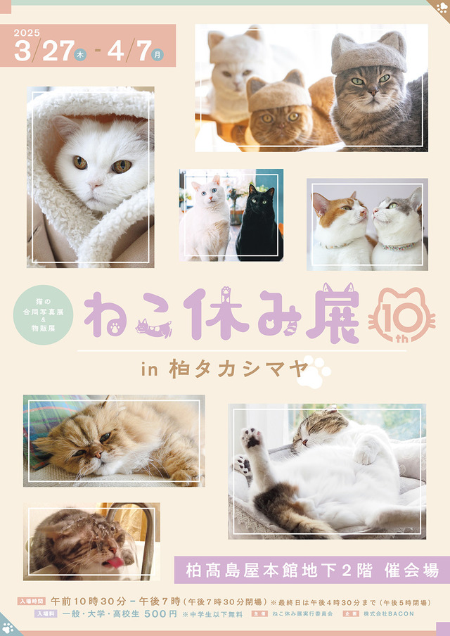 ねこ休み展