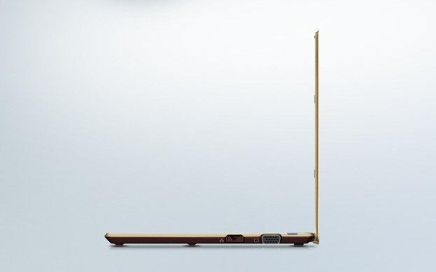 VAIO X