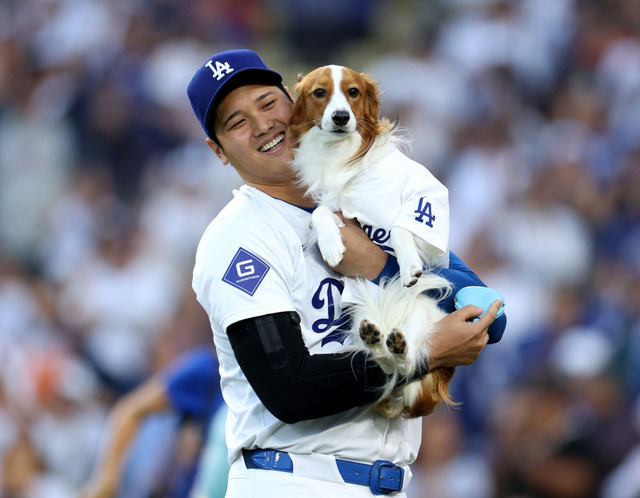 大谷翔平選手と愛犬・デコピン（Photo by Harry How/Getty Images）