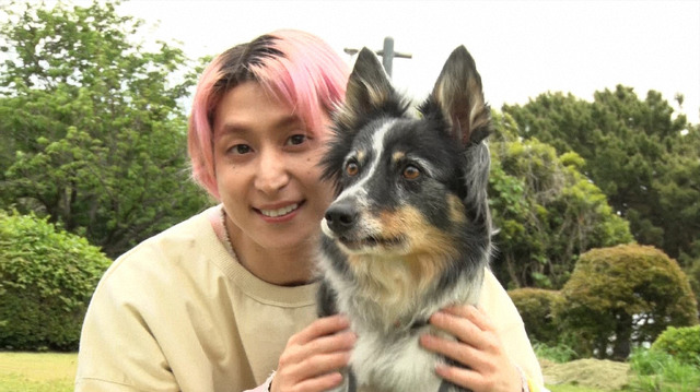 5月23日午後8時55分から放送される『わんにゃん観察バラエティ アニマリング』　(C)TBS