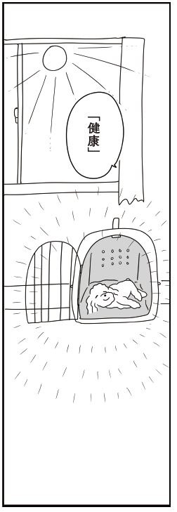 コミックエッセイ『おはよう、サンテ 不登校の私を救った愛犬との日々』原作:肥前ロンズ、漫画:むぴー(KADOKAWA)