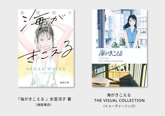 ビジュアルコレクション　（C） 1993 Saeko Himuro/Keiko Niwa/Studio Ghibli, N