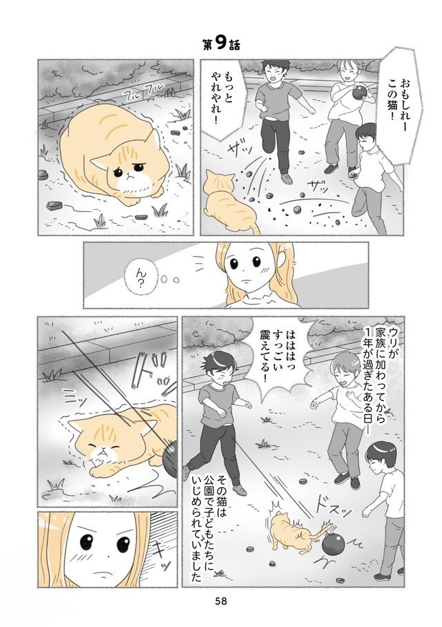 『にゃんかつ 11匹と2人の暮らし』(C)KADOKAWA