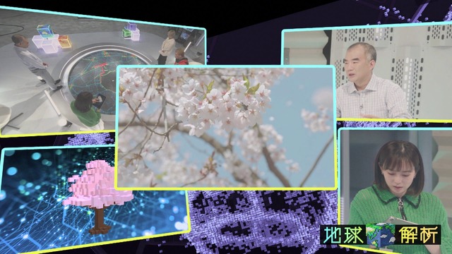 『地球解析～宇宙から探せ！究極の花見スポット～』（C）NHK