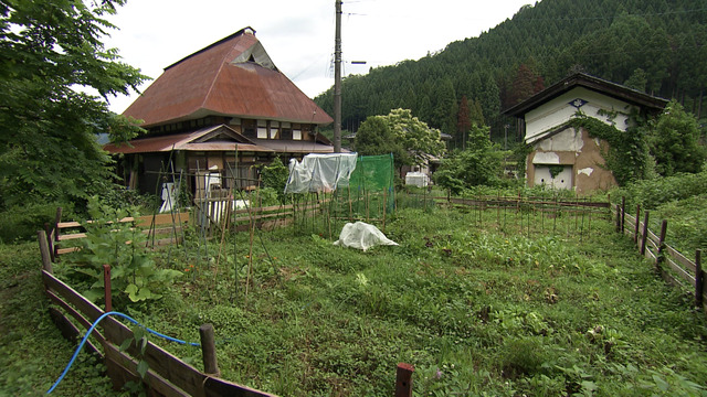 庭では夏野菜を中心に約30種類を栽培している©MBS