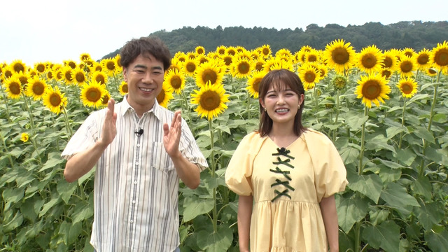 『新婚さんいらっしゃい！』（C）朝日放送テレビ