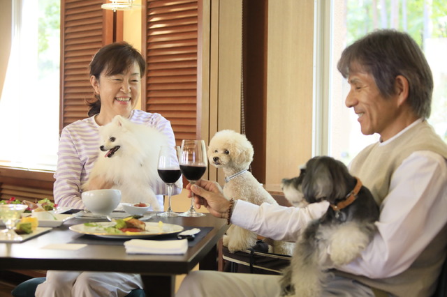 「ゆるり箱根with DOGS」