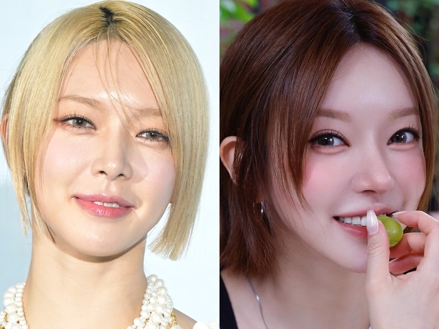 「見た瞬間、やったなと思った」整形疑惑をかけられた元K-POPアイドル、“1カ月前”の写真で反論？