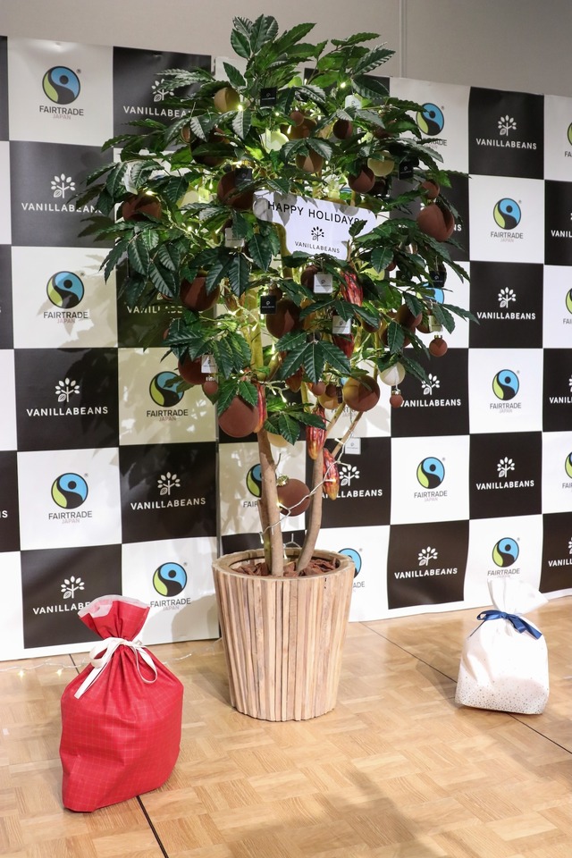 宇垣美里【撮影／平木昌宏】