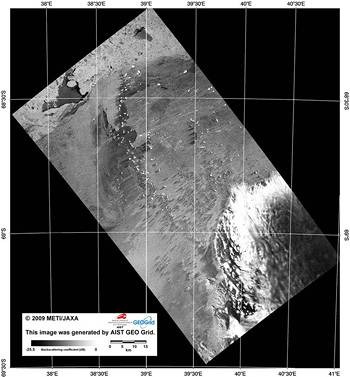 観測隊に提供された衛星画像例（2009年12月22日受信）