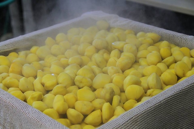 『極 栗蒸し羊羹』 11,880円(税込)