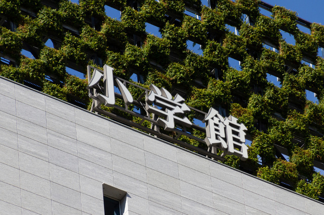 小学館©vacant - stock.adobe.com