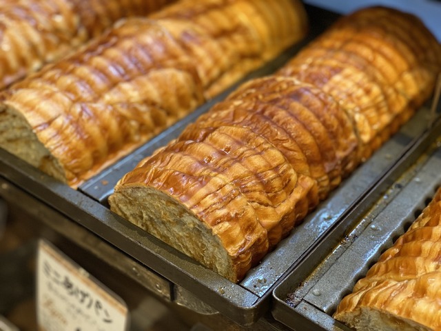 リヨンコッペル「カレンダーセール」