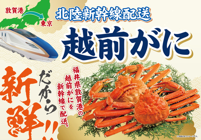 【イオン 超！ブラックフライデーセール特別企画】越前がに