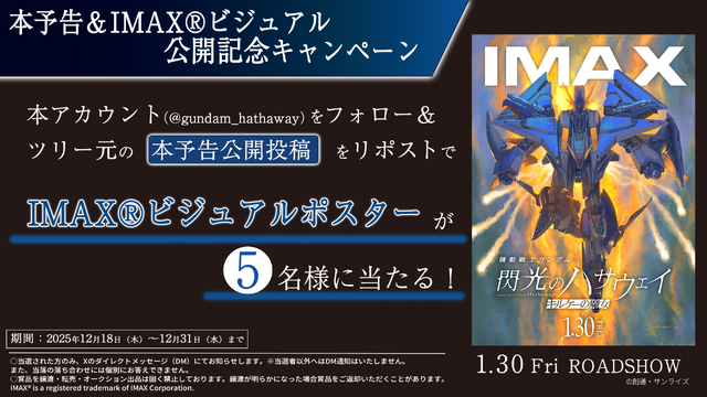 IMAXビジュアルポスターⒸ創通・サンライズ