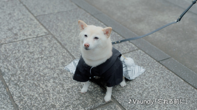 東京メトロの新CM「市ケ谷_私の心をほぐすもの」編