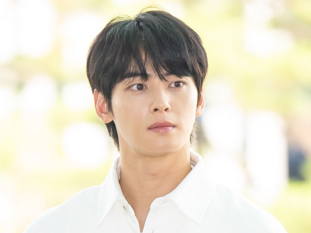 懲役5年以上の可能性も　200億ウォン脱税疑惑が浮上した“顔天才”チャウヌの法的争点