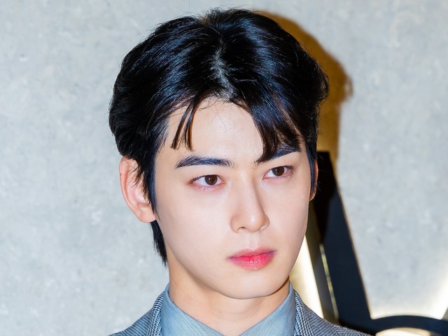 20億円超脱税疑惑のチャウヌ、韓国トップの法律事務所が弁護へ…過去にNewJeans訴訟を担当