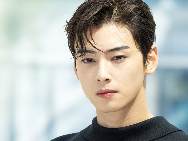 どこまで落ちていくのか　200億ウォン脱税疑惑のチャウヌ、軍での役割見直しを求める苦情まで登場