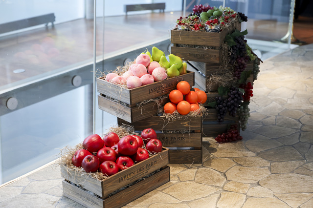 【撮影：田中聖太郎写真事務所】