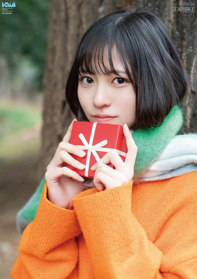 別冊付録・両面ポスター／正源司陽子（C）ワン・パブリッシング