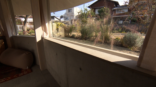 庭を眺めるため、家全体を地面から60センチ掘り下げた©MBS